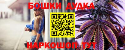 индика Кунгур