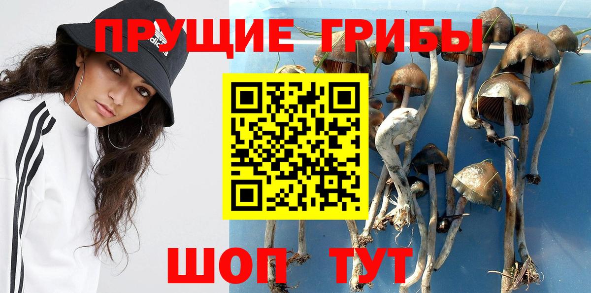 Псилоцибиновые грибы ЛСД  Вход с VPN  Псилоцибиновые грибы GOLDEN TEACHER  Коломна 